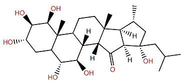 Xestobergsterol B